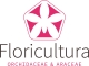 Floricultura